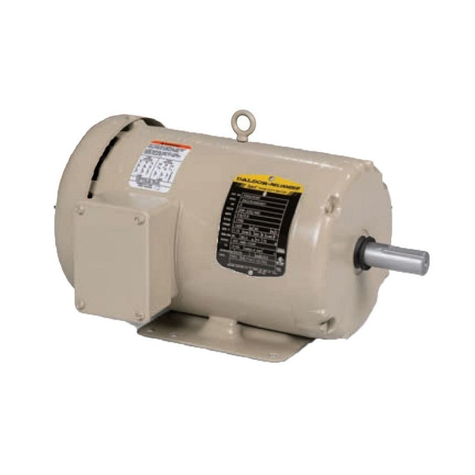 Baldor FDEM3615T