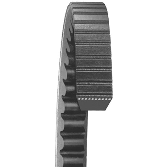 Dayco 24490 V-Belt