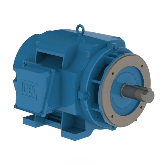 WEG CP040502NP