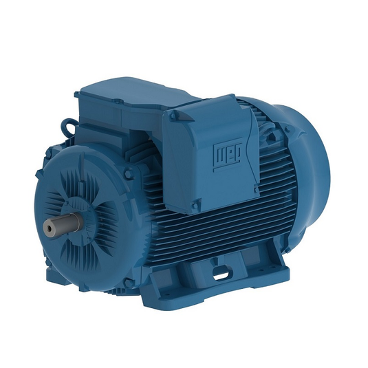 WEG ME150504W22315S/M