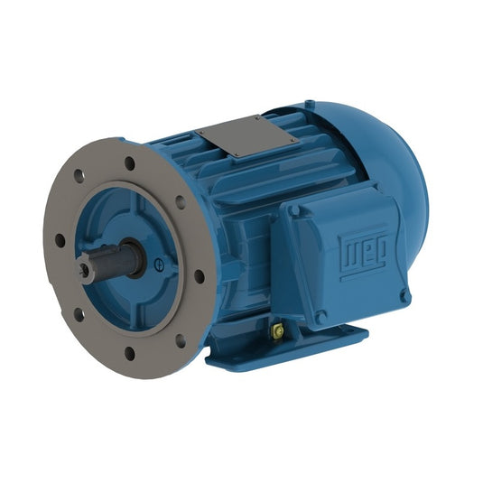 WEG MA004404W22L100L
